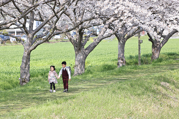 [写真]入学・卒業式 14
